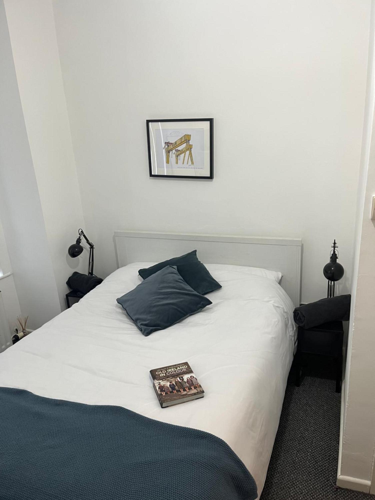 Loganberry Apartment Belfast Luaran gambar