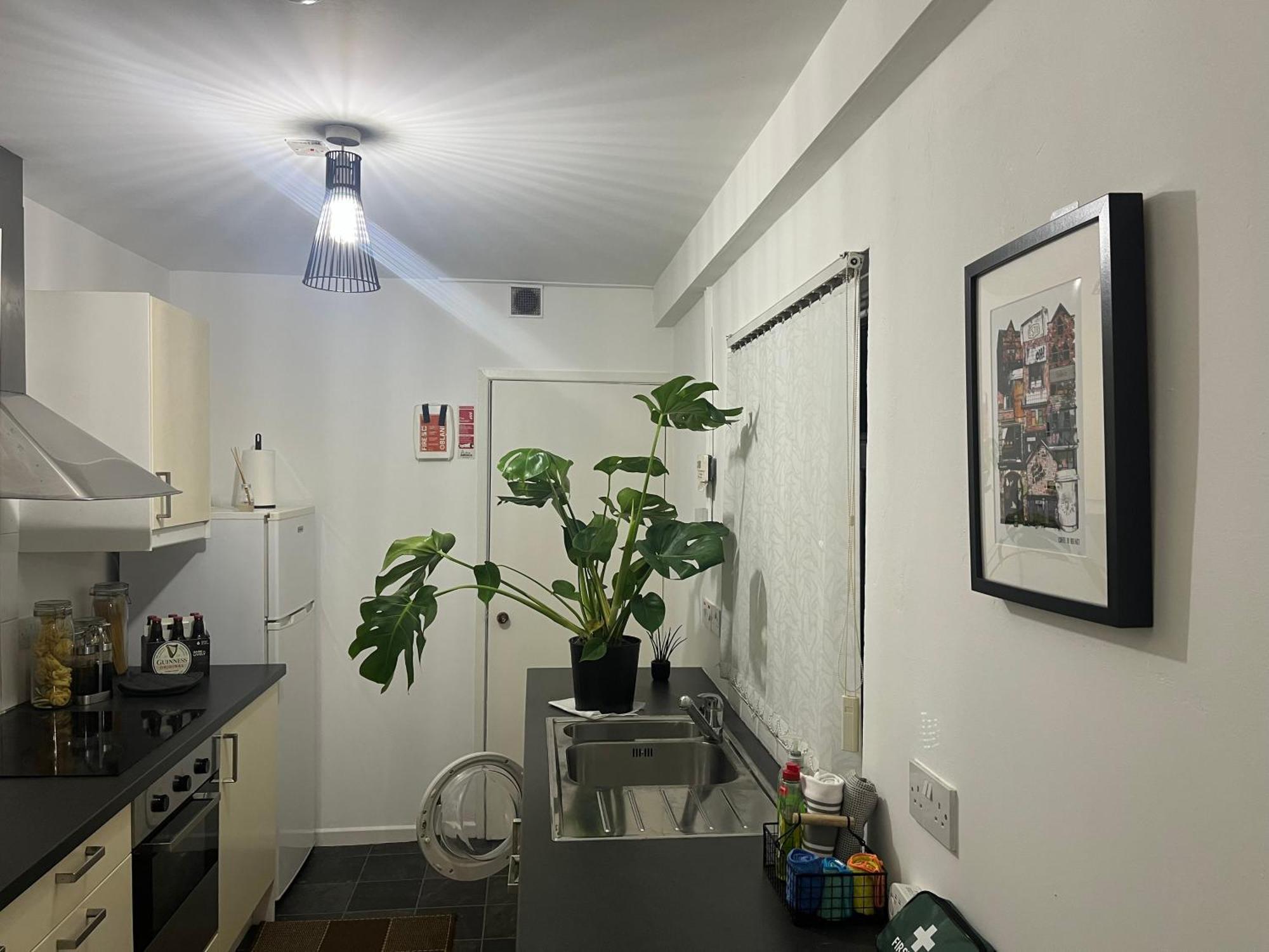 Loganberry Apartment Belfast Luaran gambar