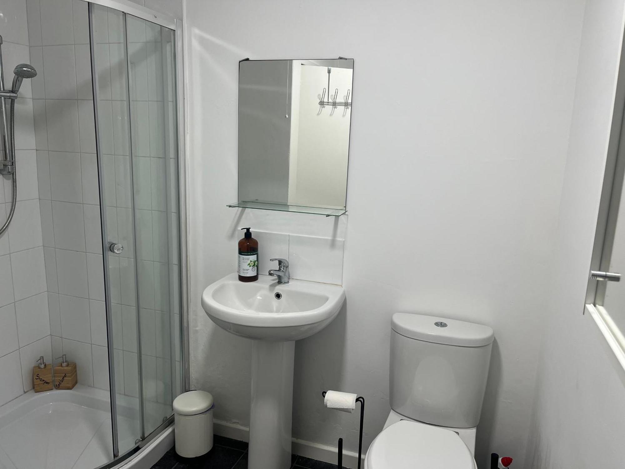 Loganberry Apartment Belfast Luaran gambar
